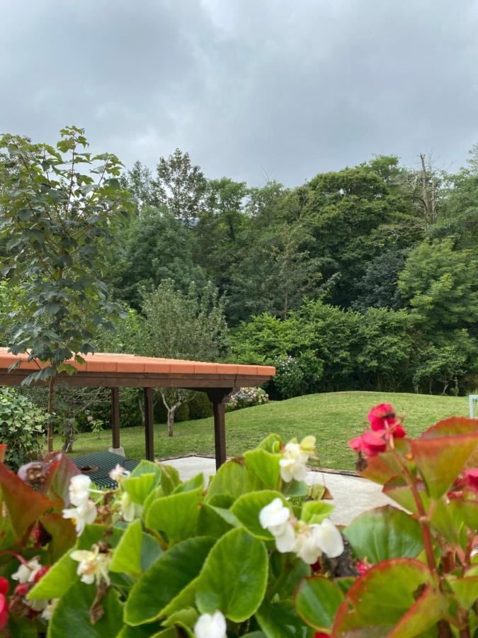 2 Apartamentos En Villa Con Piscina Privada En Asturias El Marquesau Noriega 외부 사진